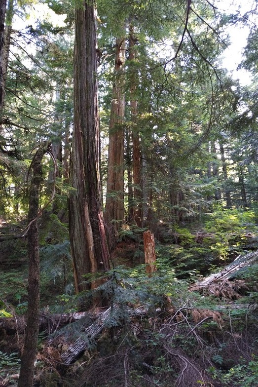 Slideshow image